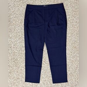 Everlane Dark Blue Ankle Pants